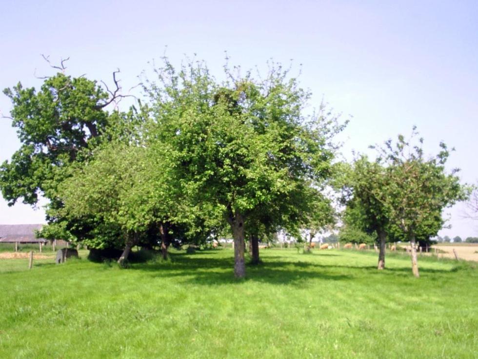 Chambres D'Hote Honey Orchard Farm Vessey Eksteriør billede