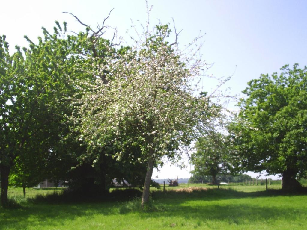 Chambres D'Hote Honey Orchard Farm Vessey Eksteriør billede
