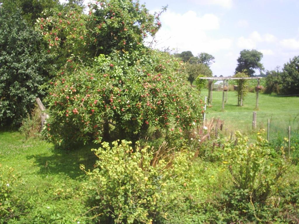 Chambres D'Hote Honey Orchard Farm Vessey Eksteriør billede