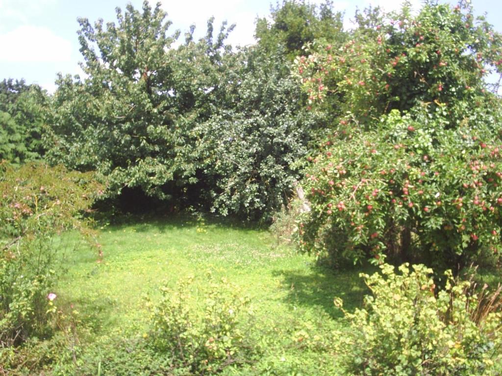 Chambres D'Hote Honey Orchard Farm Vessey Eksteriør billede
